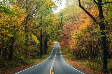 Skyline sürücü Shenandoah Milli Parkı, Virginia boyunca erken sonbahar renk