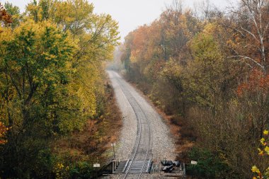 Sonbahar renk Blue Ridge Parkway Virginia gelen bir tren yolu boyunca