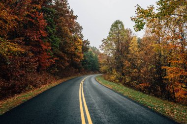 Sonbahar renk Blue Ridge Parkway Virginia boyunca.
