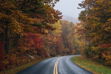 Sonbahar renk Blue Ridge Parkway Virginia boyunca.