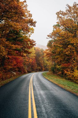 Sonbahar renk Blue Ridge Parkway Virginia boyunca.
