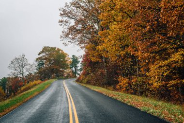 Sonbahar renk Blue Ridge Parkway Virginia boyunca.