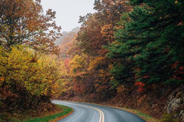 Sonbahar renk Blue Ridge Parkway Virginia boyunca.