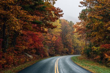 Sonbahar renk Blue Ridge Parkway Virginia boyunca.