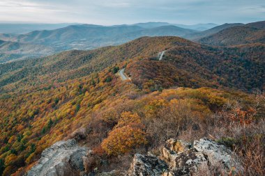 Fall color and Blue Ridge Mountains from Little Stony Man Cliffs, on the Appalachian Trail in Shenandoah National Park, Virginia clipart