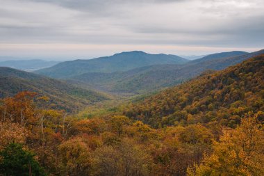 Sonbahar renk ve Blue Ridge dağlarının görünümünden Skyline sürücü Shenandoah Milli Parkı, Virginia