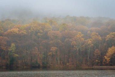 Sonbahar renk ve sis tepeler, Otter Gölü, Virginia Blue Ridge Parkway üzerinde