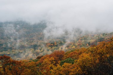 Virginia Blue Ridge Parkway sisli sonbahar manzarası.