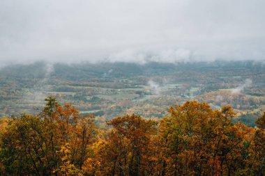 Virginia Blue Ridge Parkway sisli sonbahar manzarası.