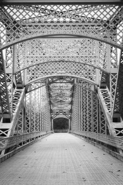 Cockeysville, Maryland 'deki Paper Mill Yolu' ndaki Kuzgun Gölü üzerindeki eski köprü.