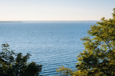 Ağaçlar ve bir görünüm Elk boyun State Park, Maryland Chesapeake Körfezi
