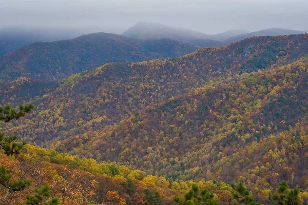 Outono Blue Ridge Mountain View Partir Blue Ridge Parkway Nas — Fotografia de Stock