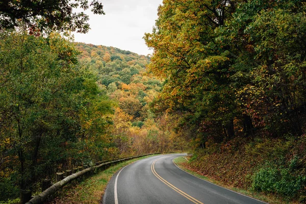 Podzimní Barva Podél Skyline Drive Národní Park Shenandoah Virginia — Stock fotografie