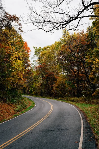 Couleur Automne Long Skyline Drive Dans Parc National Shenandoah Virginie — Photo