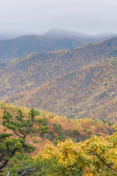 秋天蓝色山脊山看法 从蓝色山脊大路在阿巴拉契亚山脉弗吉尼亚 — 图库照片