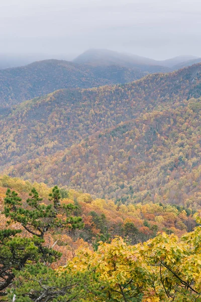 Herfst Blue Ridge Mountain View Van Blue Ridge Parkway Appalachian — Stockfoto