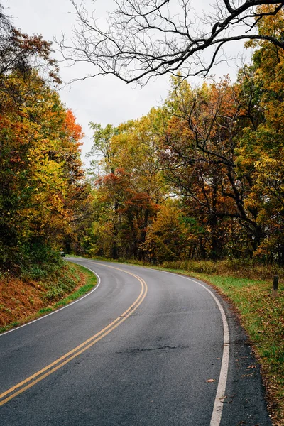 Herfst Kleur Langs Skyline Drive Shenandoah National Park Virginia — Stockfoto