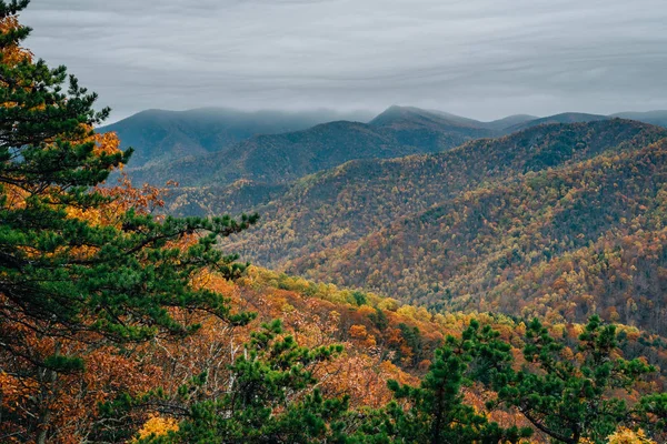 Jesienny Widok Góry Blue Ridge Blue Ridge Parkway Appalachów Virginia — Zdjęcie stockowe