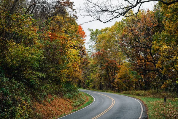 Color Otoño Largo Skyline Drive Parque Nacional Shenandoah Virginia —  Fotos de Stock