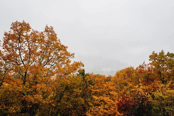 Cor Outono Nevoeiro Blue Ridge Parkway Nas Montanhas Apalaches Virgínia — Fotografia de Stock