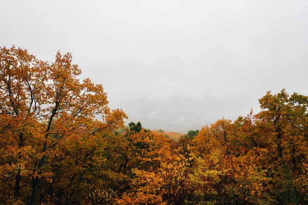 Cor Outono Nevoeiro Blue Ridge Parkway Nas Montanhas Apalaches Virgínia — Fotografia de Stock