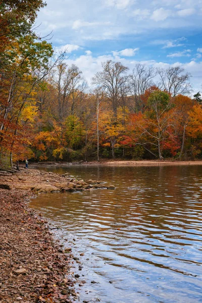 Autumn Color Loch Raven Reservoir Cockeysville Maryland — Stock Photo, Image