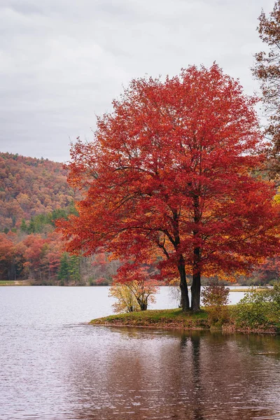 Höstfärg Sherando Lake Nära Blue Ridge Parkway George Washington National — Stockfoto