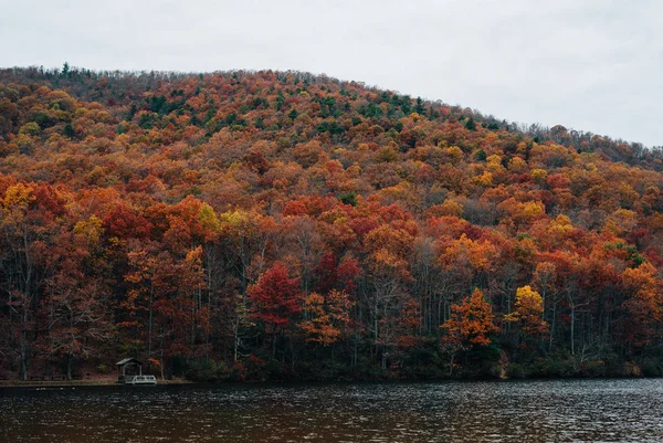 秋天的颜色在 Sherando 附近蓝色山脊大路在乔治 华盛顿国家森林 弗吉尼亚 — 图库照片
