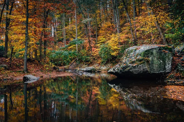 Colore Autunnale Otter Creek Sulla Blue Ridge Parkway Virginia — Foto Stock