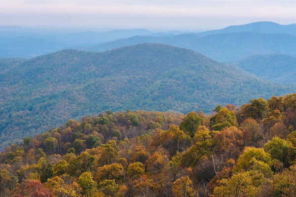 Autumn view of Blue Ridge mountain ridges from Skyline Drive in Shenandoah National Park, Virginia