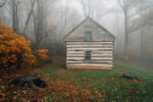 Каюта Тумане Осеннем Цвете Пиках Выдры Блю Ридж Паркуэй Вирджинии — стоковое фото