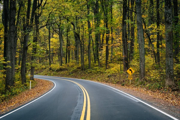 Цвет Ранней Осени Вдоль Skyline Drive Национальном Парке Шенандоа Вирджиния — стоковое фото