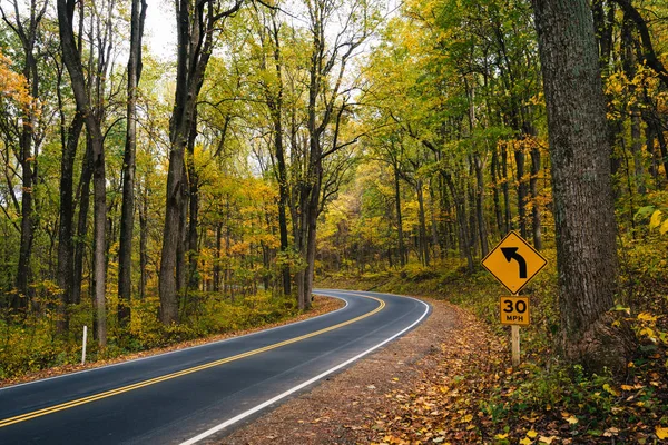 Couleur Début Automne Long Skyline Drive Dans Parc National Shenandoah — Photo