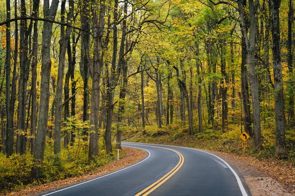Vroege Herfst Kleur Langs Skyline Drive Shenandoah National Park Virginia — Stockfoto