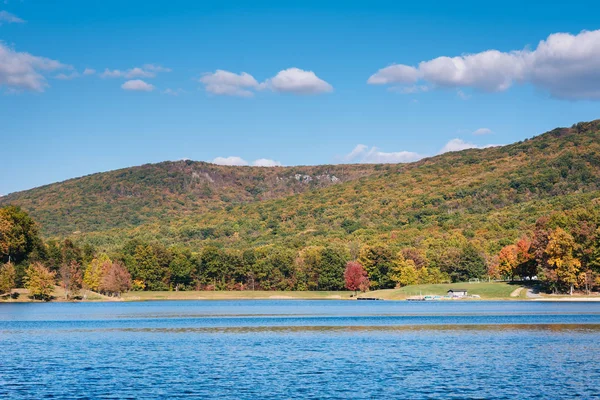 Greenbrier Gölü Maryland Greenbrier State Park Erken Sonbahar Renk — Stok fotoğraf