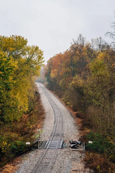 バージニア州ブルーリッジ パークウェイからの鉄道線路に沿って秋の色 — ストック写真