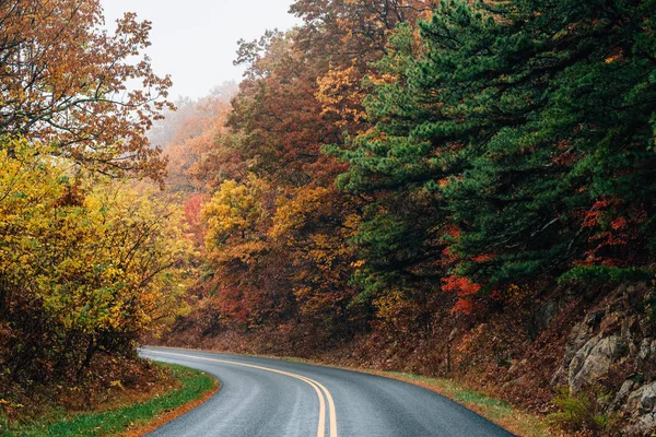 Podzimní Barevné Listí Podél Blue Ridge Parkway Virginia — Stock fotografie