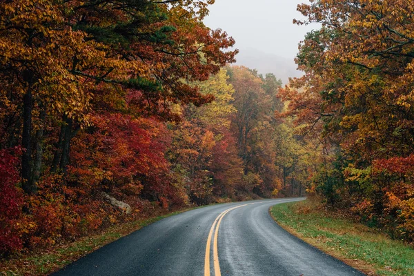 Podzimní Barevné Listí Podél Blue Ridge Parkway Virginia — Stock fotografie