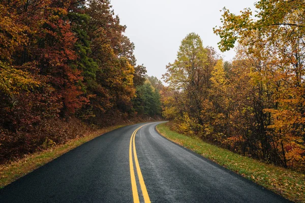 バージニア州ブルーリッジ パークウェイ沿いの秋の色 — ストック写真