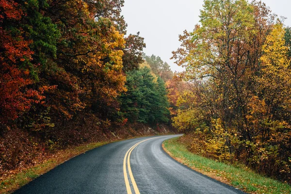 Podzimní Barevné Listí Podél Blue Ridge Parkway Virginia — Stock fotografie