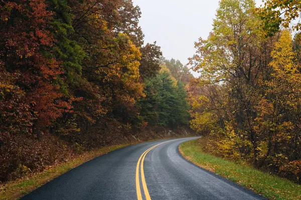 Podzimní Barevné Listí Podél Blue Ridge Parkway Virginia — Stock fotografie