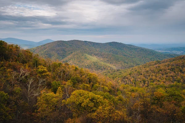 Höstfärg Och Blue Ridge Mountains Visa Från Skyline Drive Shenandoah — Stockfoto