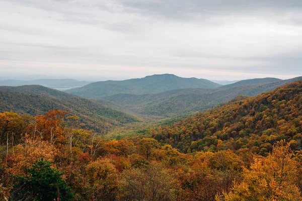 Fall Color Blue Ridge Mountains View Skyline Drive Shenandoah National — Stock Photo, Image