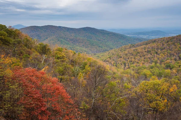 Podzimní Barevné Listí Blue Ridge Mountains Výhled Panorama Jednotky Národní — Stock fotografie
