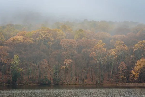 Осенний Цвет Туман Вершинах Озера Оттер Блю Ридж Паркуэй Вирджинии — стоковое фото