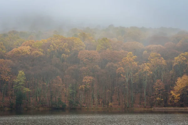 Höstfärg Och Dimma Vid Toppar Otter Sjön Blue Ridge Parkway — Stockfoto