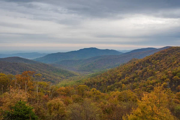 Podzimní Barevné Listí Blue Ridge Mountains Výhled Panorama Jednotky Národní — Stock fotografie