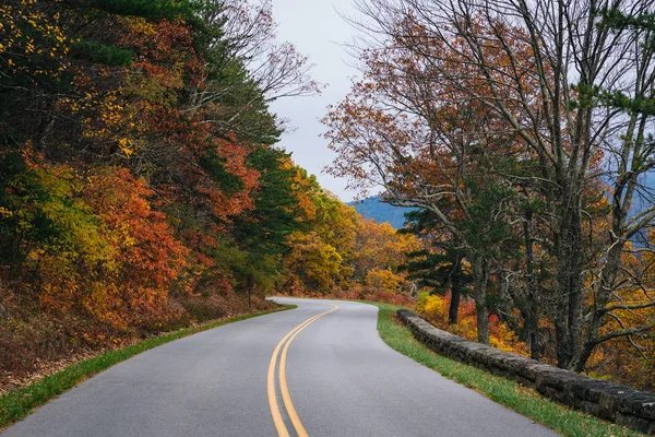 Fall Listí Podél Blue Ridge Parkway Appalačských Horách Virginie — Stock fotografie