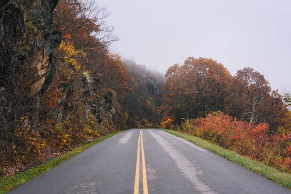 Podzim Listí Mlha Blue Ridge Parkway Virginia — Stock fotografie