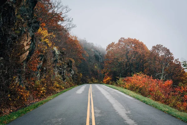 Φύλλωμα Πτώσης Και Ομίχλη Για Blue Ridge Parkway Στη Βιρτζίνια — Φωτογραφία Αρχείου